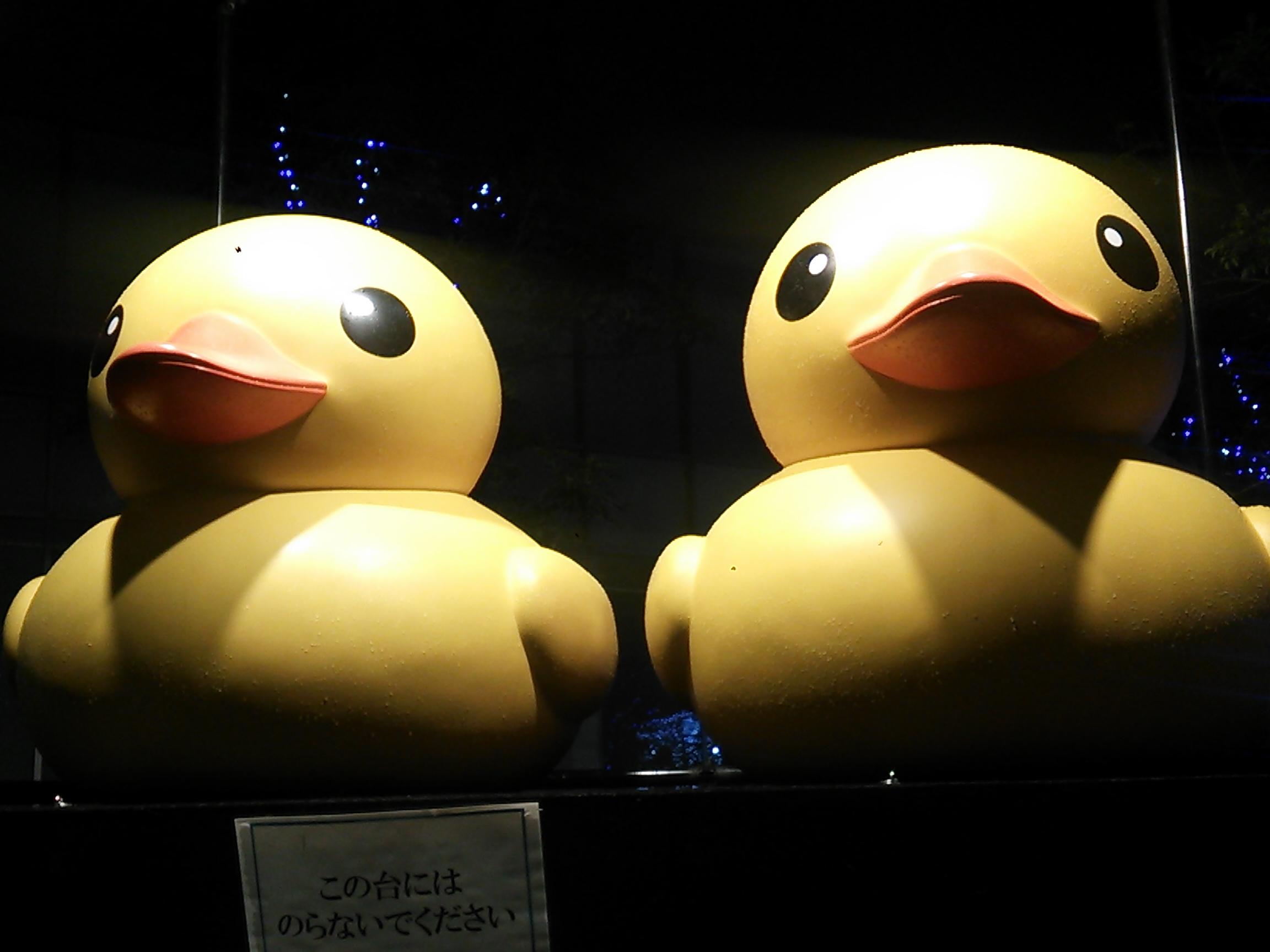 まどマギはさやか推し😊
音ゲーはチューニズムを嗜む程度💦
カラオケはボカロメインで練習中です😌
ちなみにミクさん推し☺️
モンストもボチボチやってます😃
米津玄師さん、音崎リタ様、
22/7、まらしぃさん推しです☺️