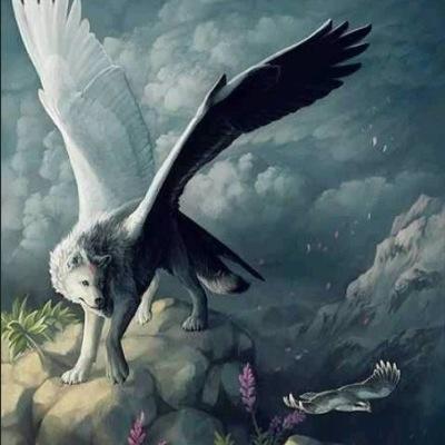 The mother of the winged. I can create and destroy life. ~Pelt Changes Constantly~ ~Can Morph~ •Slowly falling in love•