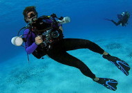 Certified General Accountant, Vernon Silver Star Rotary member, a passion for scuba diving, travel and underwater photography