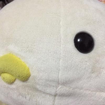 自由気ままにのんびり生きる