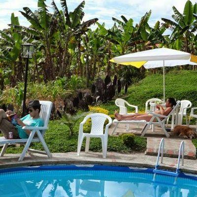 LuzLuzmerdi's profile picture. 