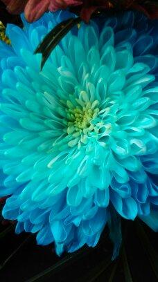 TsaiaK's profile picture. 