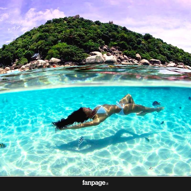 PecchiaPina's profile picture. 