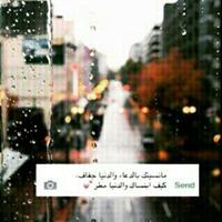  عبدالخالق (@rr444gmailcom1) 's Twitter Profile