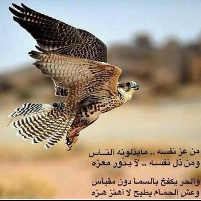 يا هلا بكل شعطاني وبكل العرب .. بيت لكل ظفيري ❤️❤️