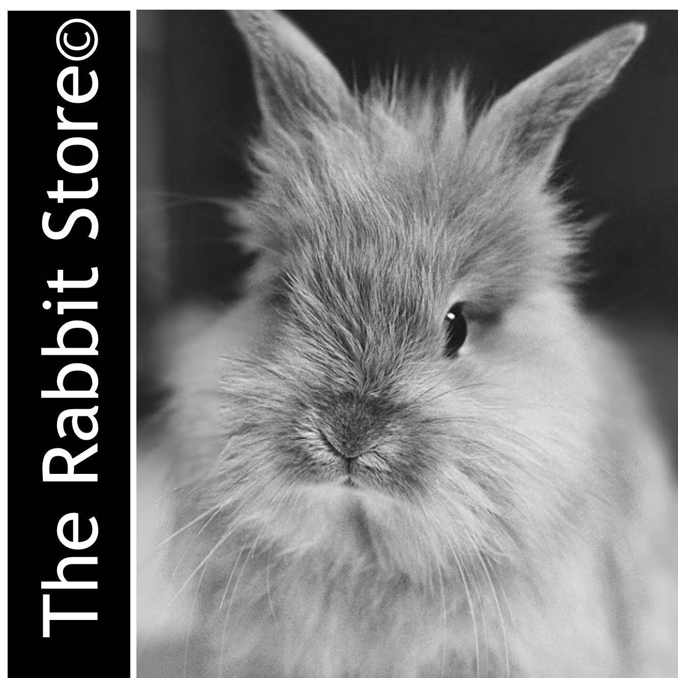 the rabbit store