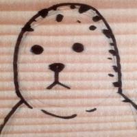 とっかり一号・二号 (@tokkari_kun) Twitter profile photo