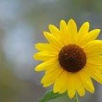 jamiekellogg4's profile picture. 