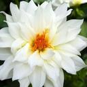 Aisha Saeed - @AishaSaeed99 - Twitter