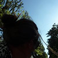 Claire Baudiffier (@clbaudiffier) 's Twitter Profile