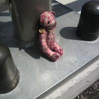 おとろ氏 (@shoukera3nozoki) 's Twitter Profile Photo