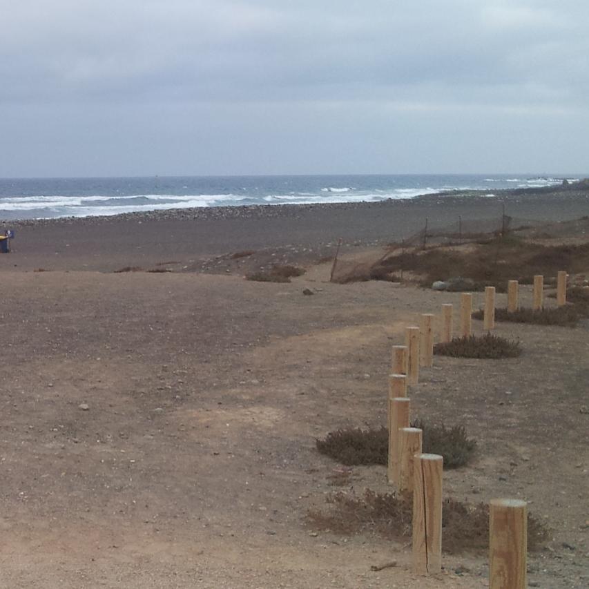 Surfero y desempleado.