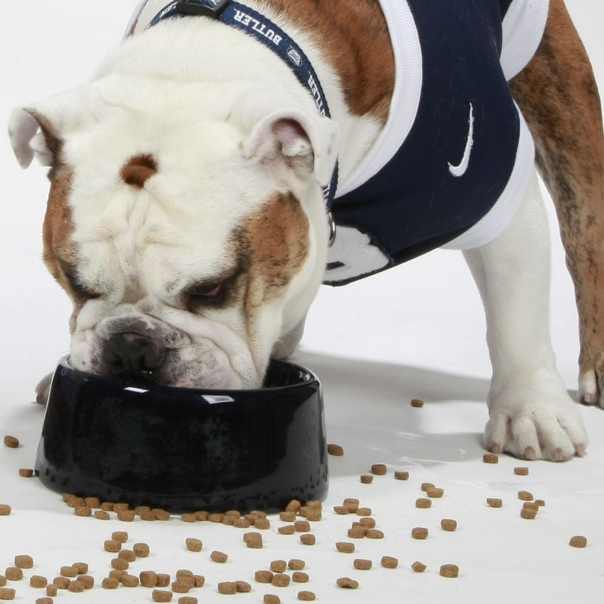 butlertoday's profile picture. 