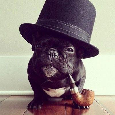 mintagombal's profile picture. 