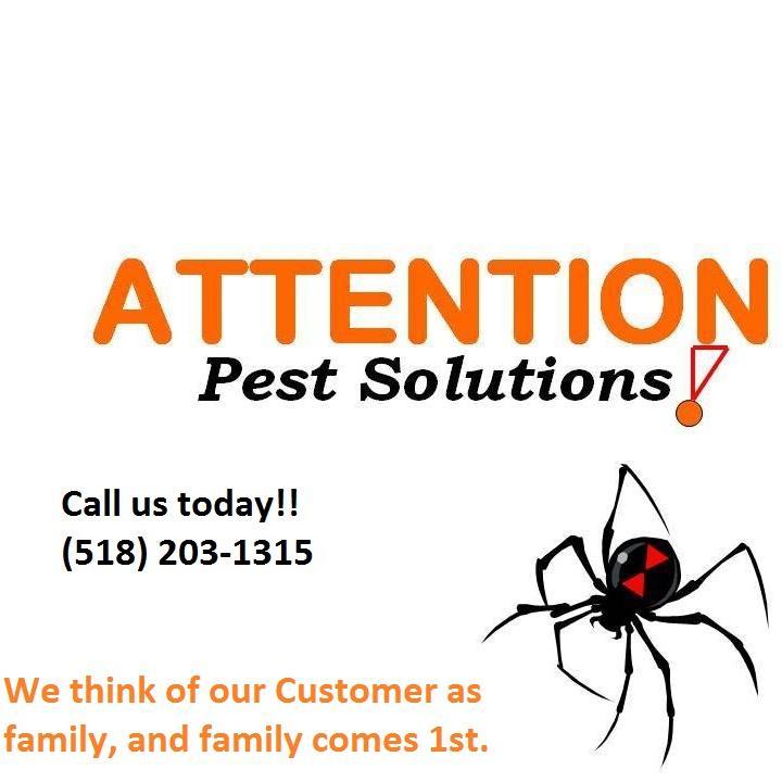 At Attention Pest Solution we focus on attention to details. Call Us Today 518-203-1315