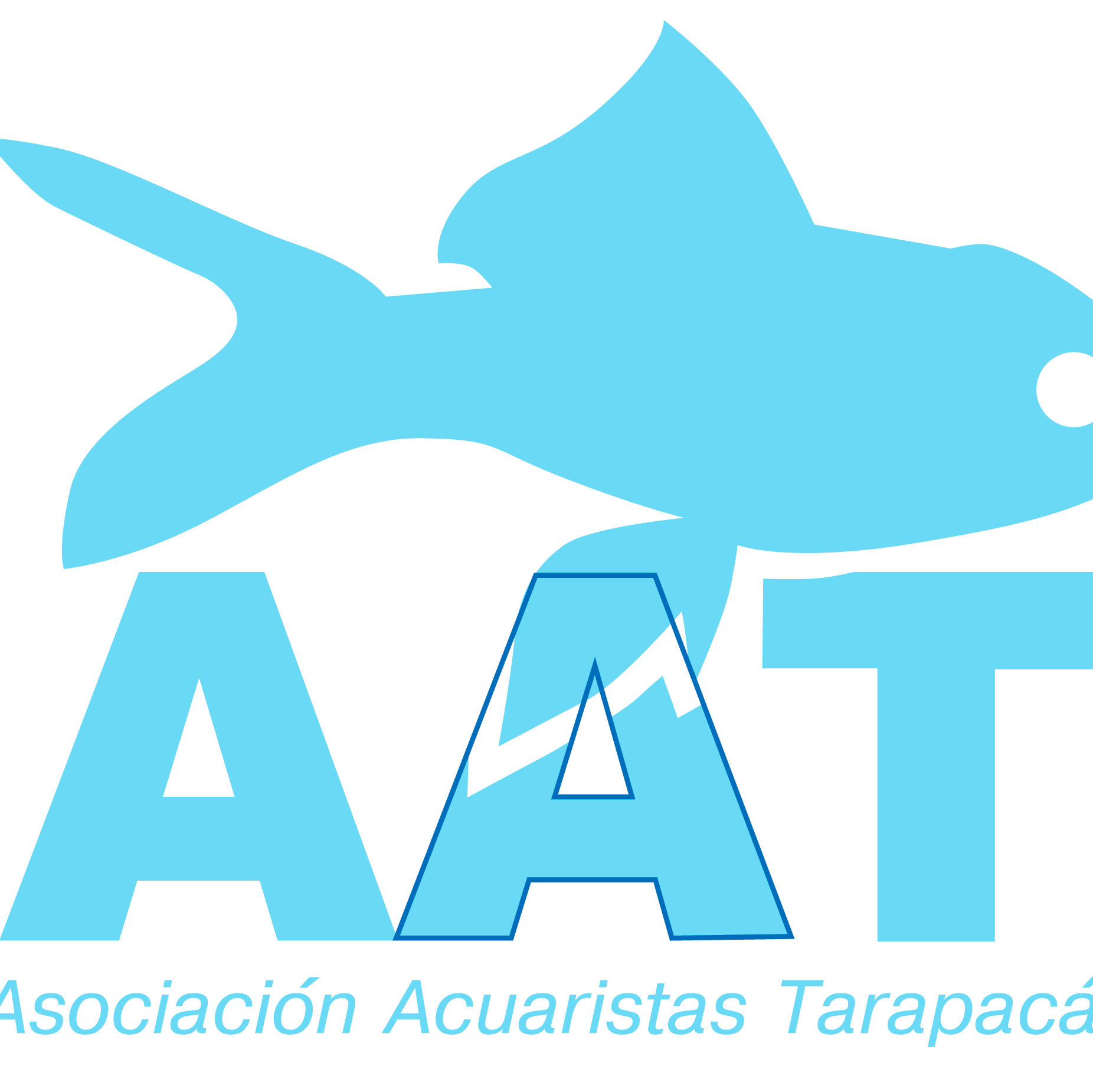 a_tarapaca's profile picture. 