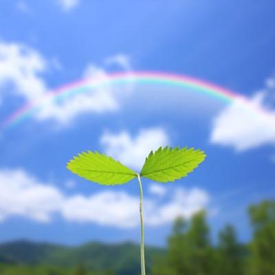 (✿ꈍ。 ꈍ✿)ポッ