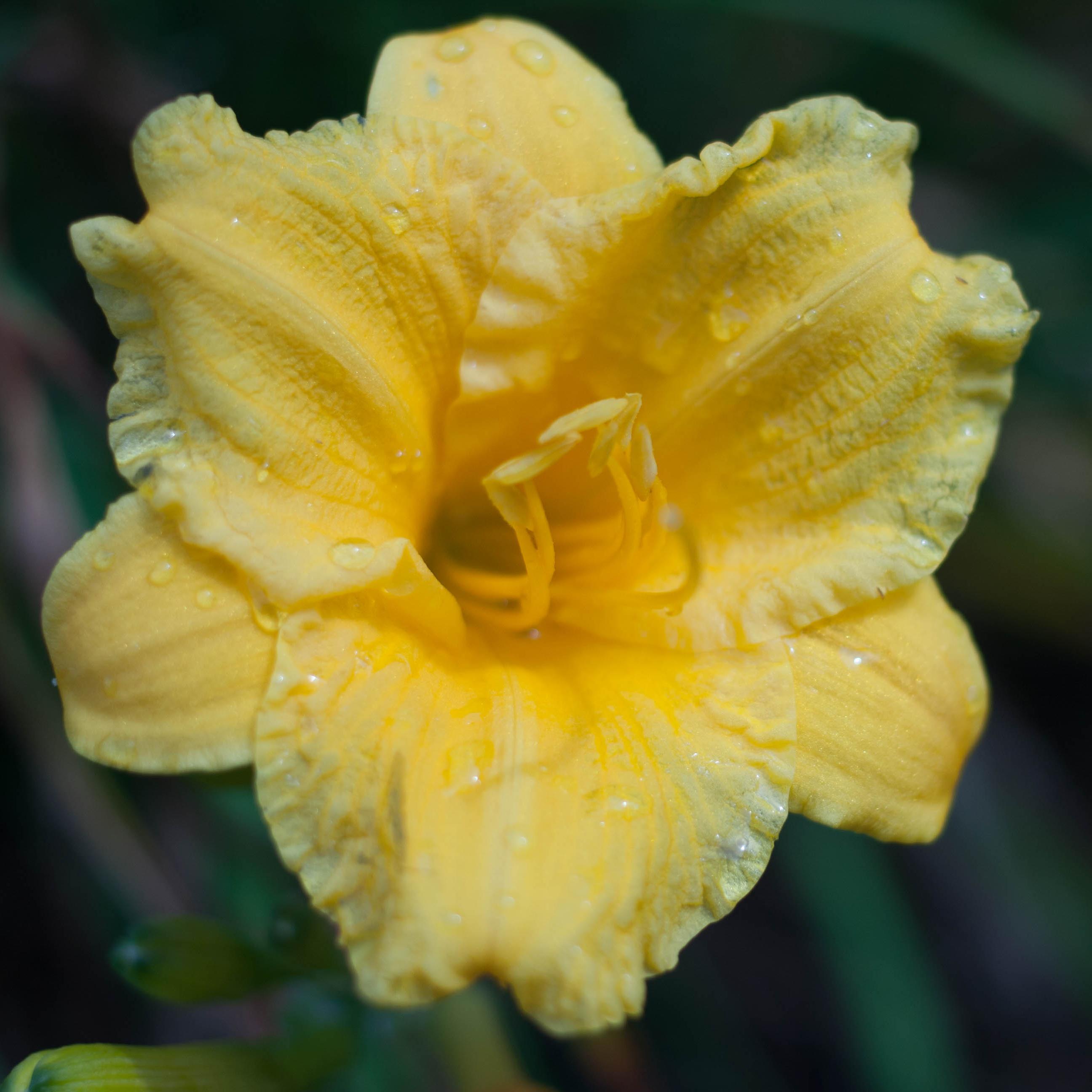 I'm a wife, a mother, a teacher & a photographer.I follow back and RT. Fine Art Photography