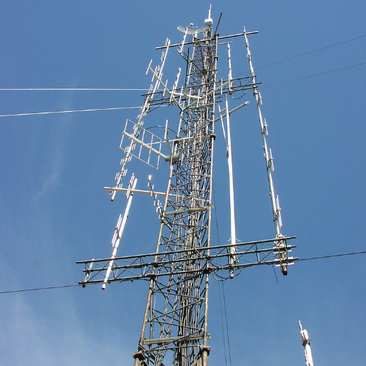 WCFNpr's profile picture. Certified and licensed PPF