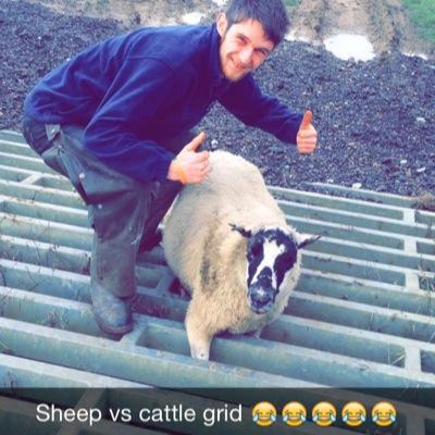 Richard86365044's profile picture. Was contract stockman, now stockman / shepherd at Earl Stonham , passion for working collies and sheep