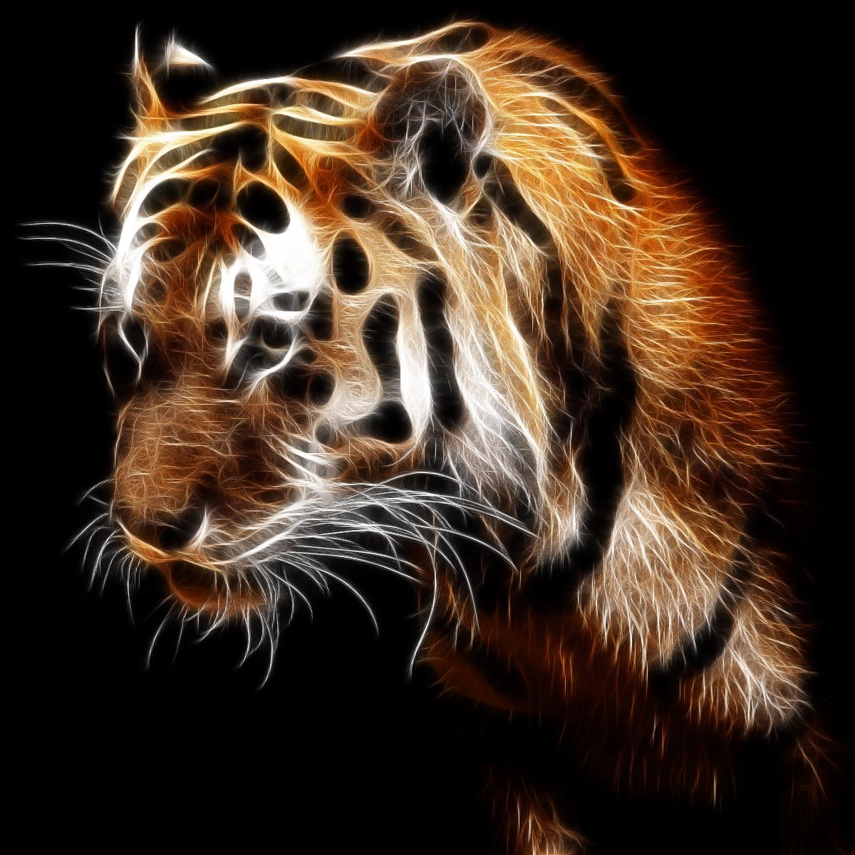 Masithia's profile picture. 