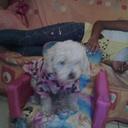 barbara michel aldaz - @miche31898 - Twitter