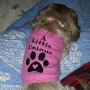 Pat Little - @alittleunique2 - Twitter