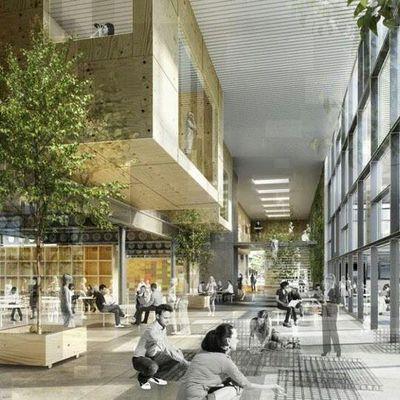 GalindoLou's profile picture. 