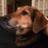 forktie's profile image