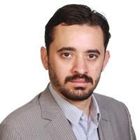 IT Business Developer & Government Consultant