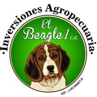 El Beagle 1,c.a (@agrobeagle_1) 's Twitter Profile