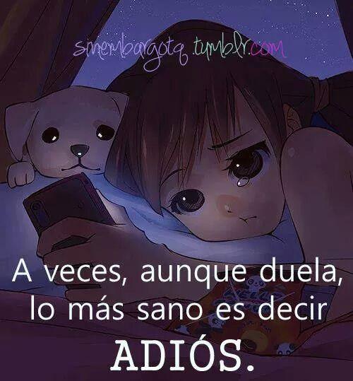 karla_dreikar's profile picture. 