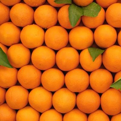 TrapOrange's profile picture. 