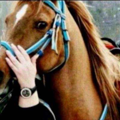 جامعيه اللغه العربيه حياتي