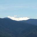 Al león - @malhjulian10038 - Twitter