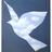4tweetous's profile image