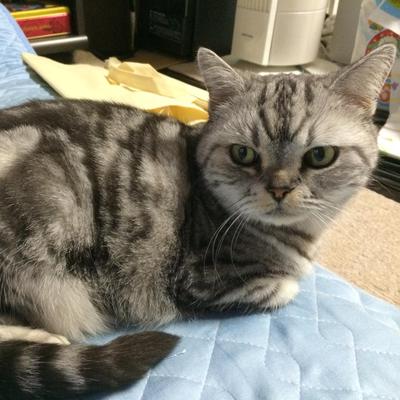 ミニマム☆．＊＋°…