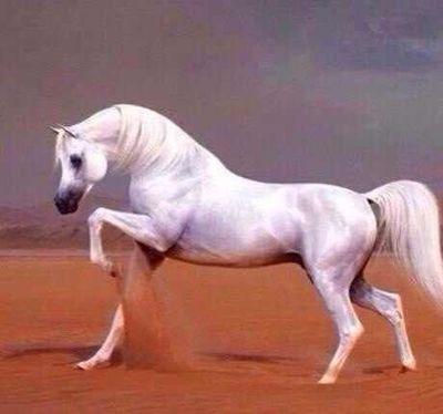 سبحان الله واستغفر الله