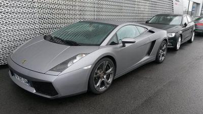 TlgNaji's profile picture. 