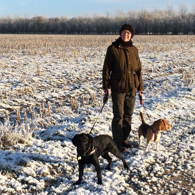 nesrualadnil's profile picture. 