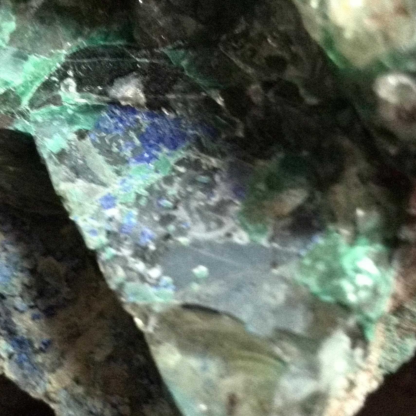 Cooper_Tazania's profile picture. 