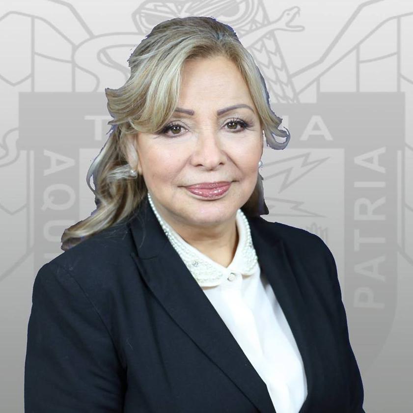 Regidora del XXI Ayuntamiento de Tijuana 2013-2016,Secretaria General del Partido Revolucionario Institucional y Presidenta de ONMPRI en Municipio de Tijuana.