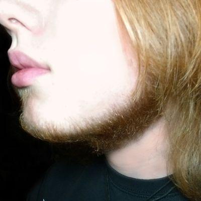 arzidererste's profile picture. 