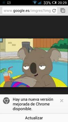 sigan a elpto_koala en facebook y instagram