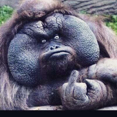 Aaron65045's profile picture. it's me that's about it