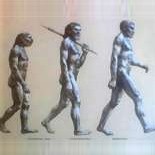 Evolution: Teacher, speaker. I expose scientific flaws with evolution. I enjoy good humor and some sports. Go to  http://t.co/UdaluQRh for more information.