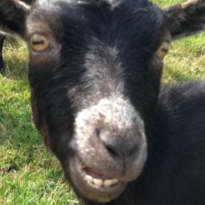 smothered_boy's profile picture. 