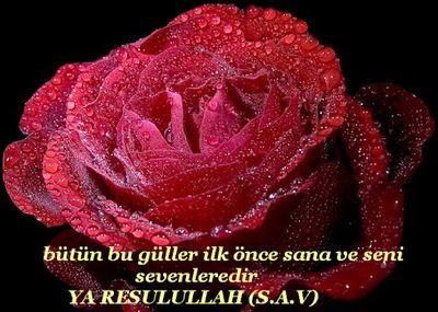 Öyle bir sinavdayizki kitap açmak serbest.
Gerçegi olduğu gibi kabul edin çünkü hayat adil degil.