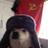 Nystrom13's profile image