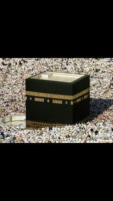 ‏‏‏‏‏‏‏‏‏١-‏ ماجستير في اﻷدارةالصحية.
٢-بكلوريوس في الصحة العامة.
٣-الخبرات في مجال الادارة الصحية في القطاعين العام والخاص
٤-تدريس ومؤلفات في الأدارة الصحية.